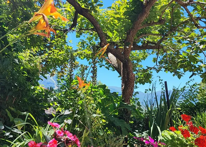 Amoroso's House, Konukevi